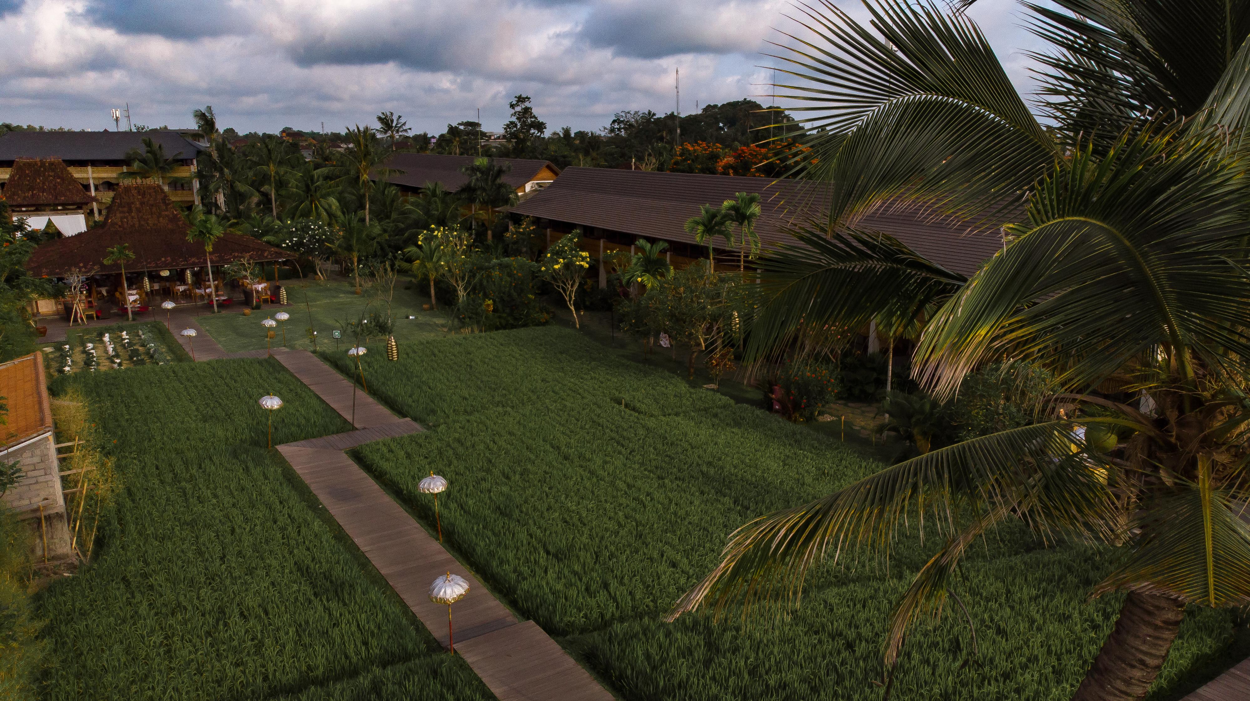 Alaya Resort Ubud Exterior photo