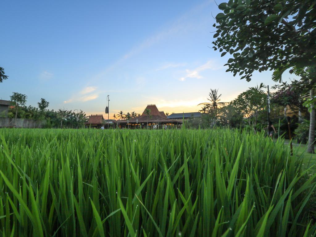 Alaya Resort Ubud Exterior photo